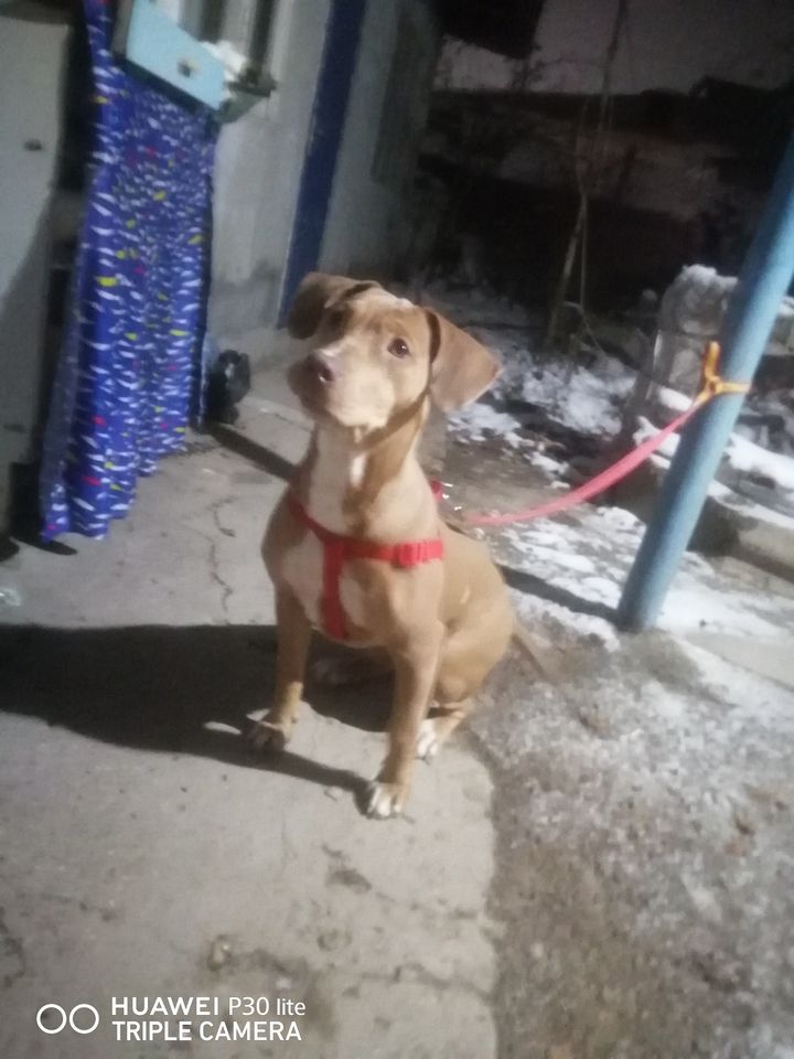 400 000 UZS