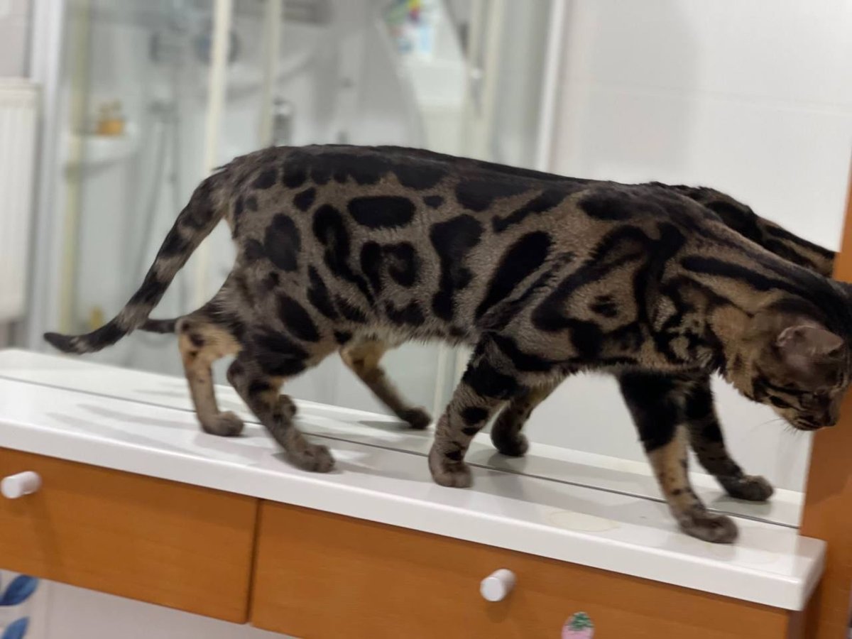 850 USD