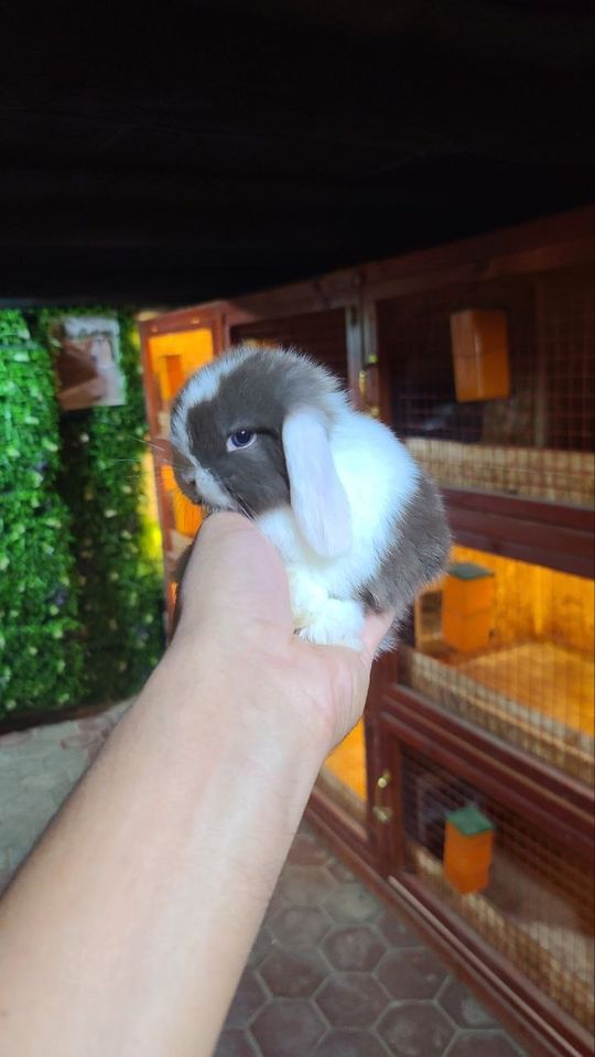 200 000 UZS
