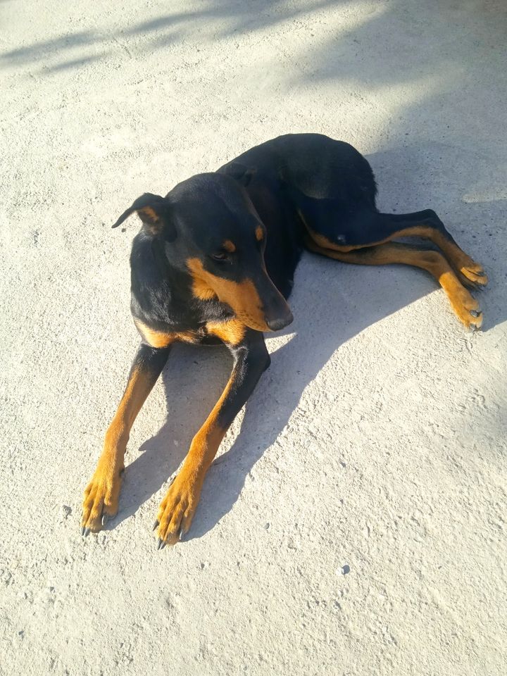 3 600 000 so'm