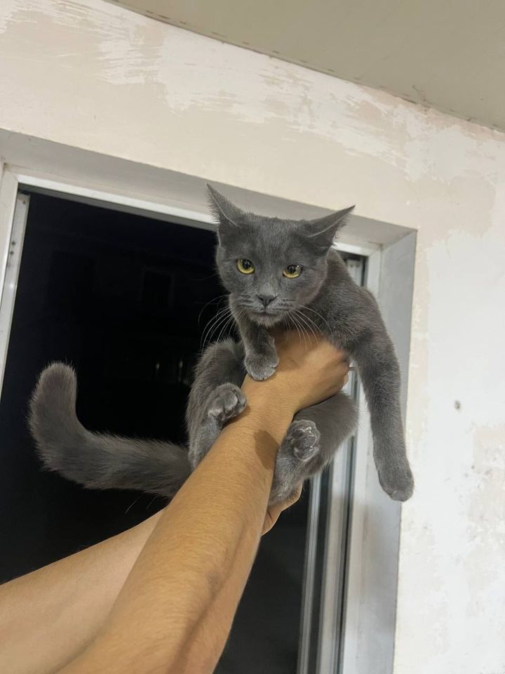 200 000 сум