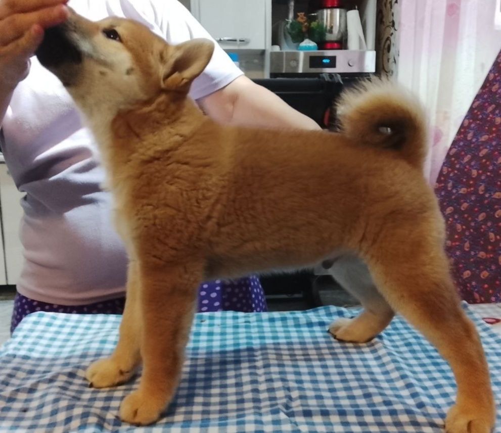 500 USD