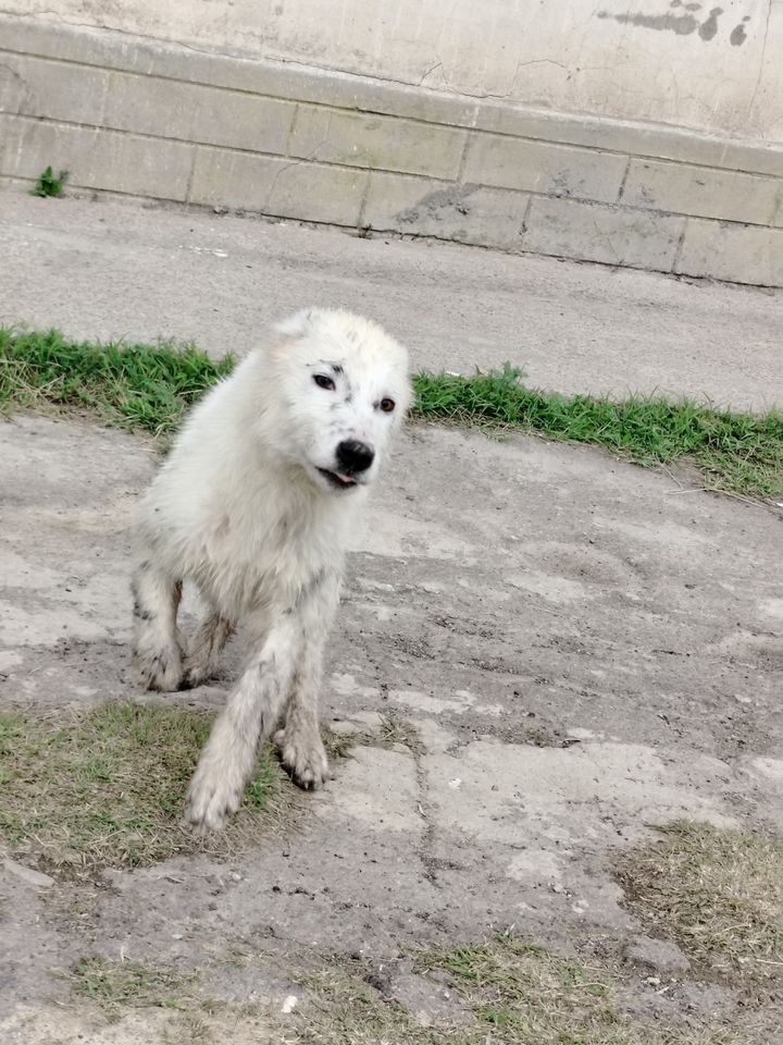 2 000 000 сум