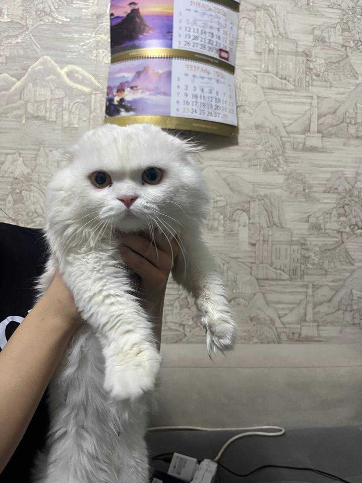 100 USD