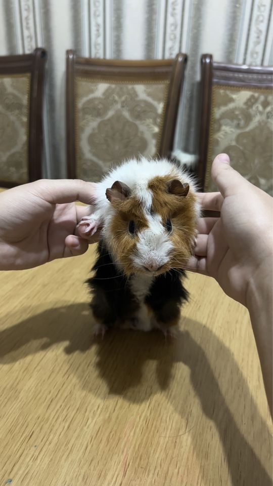 300 000 сум