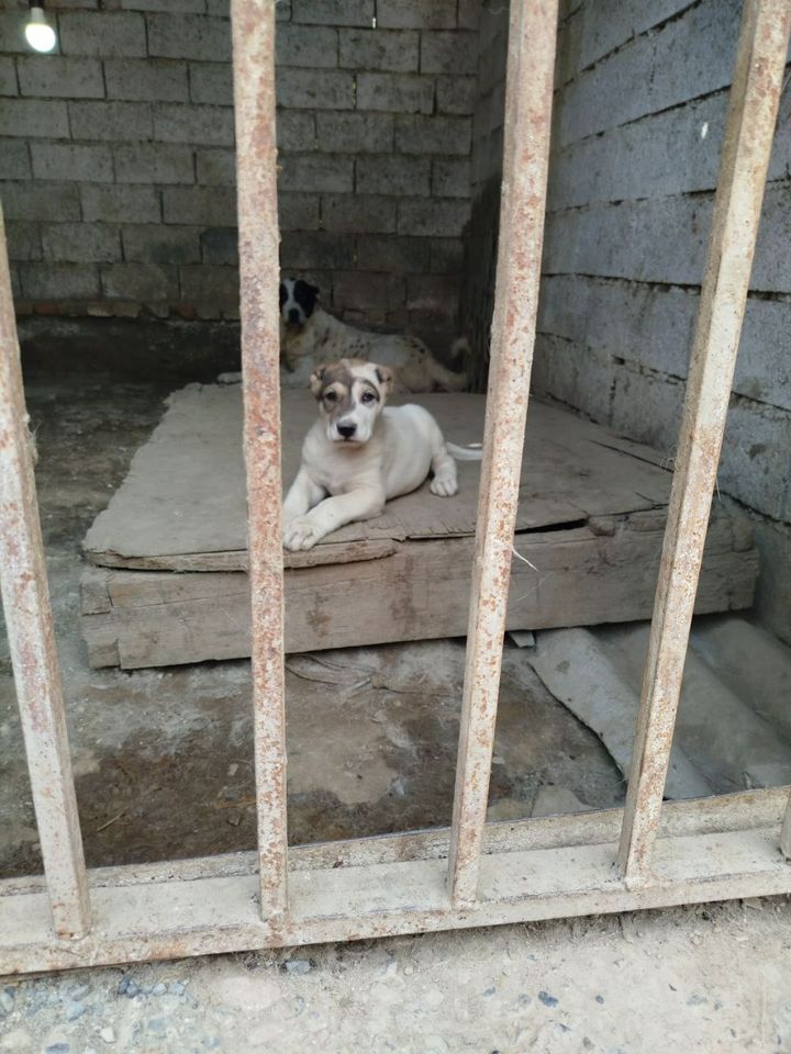 1 500 000 сум