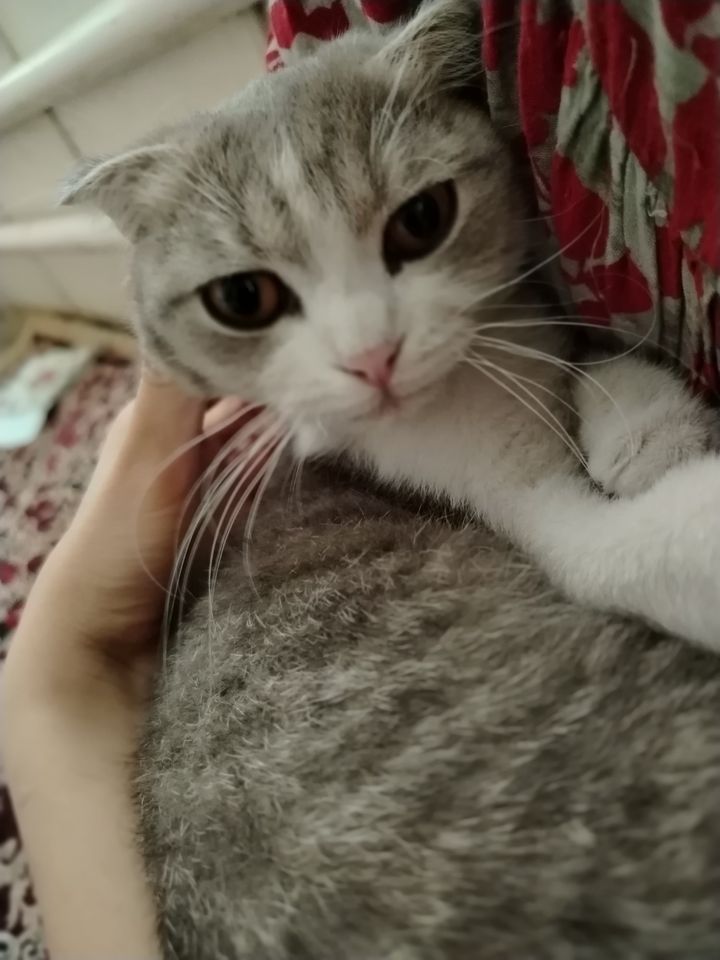 8 000 000 сум