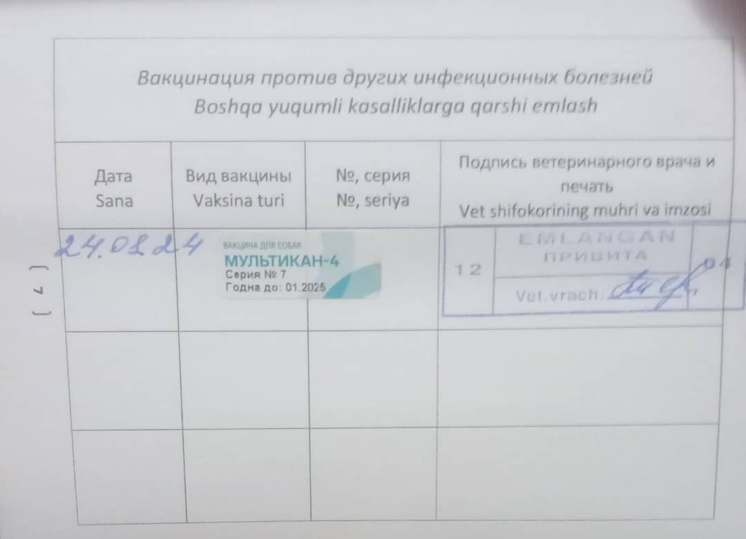 300 USD