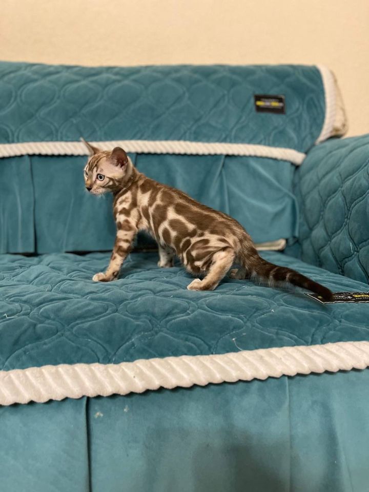 850 USD