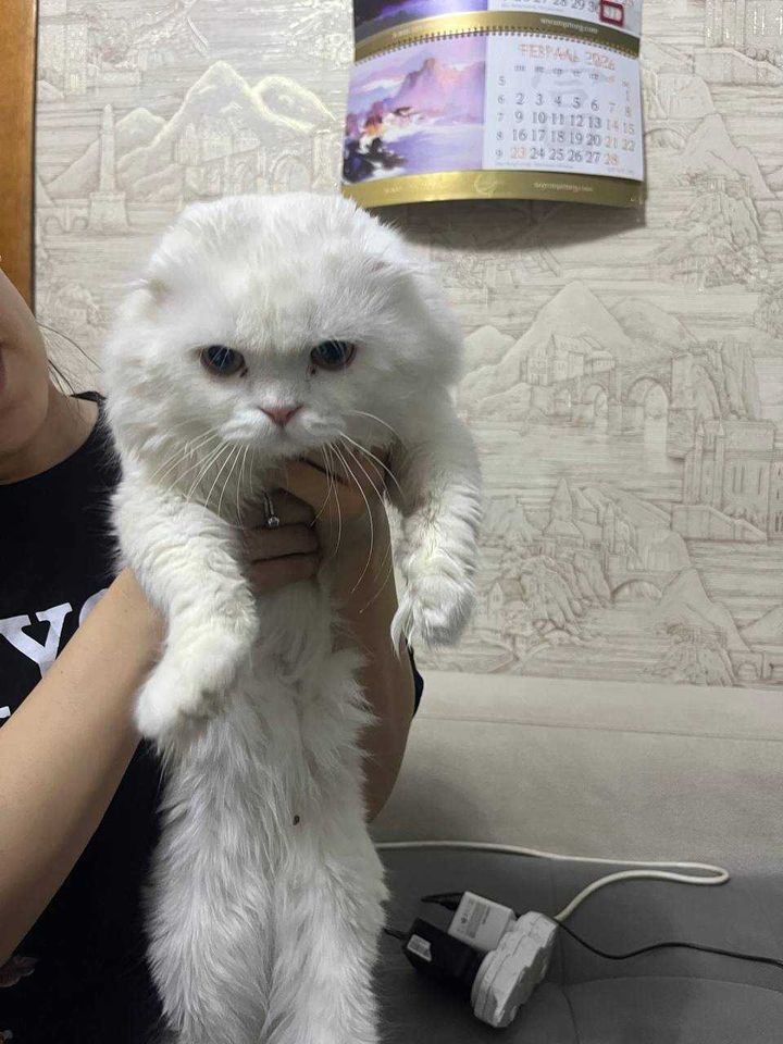 100 USD