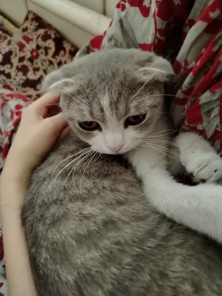 8 000 000 сум