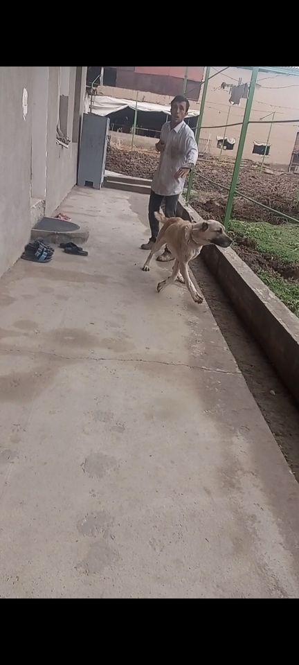 350 USD