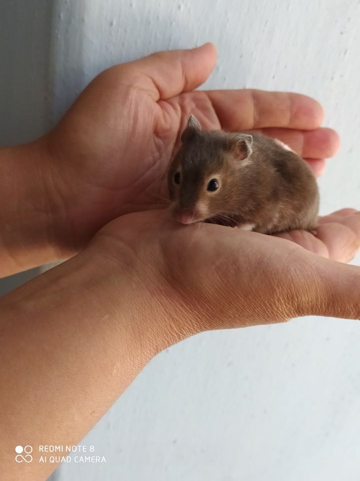 50 000 сум