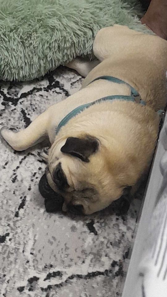150 USD