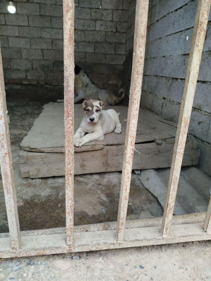1 500 000 сум