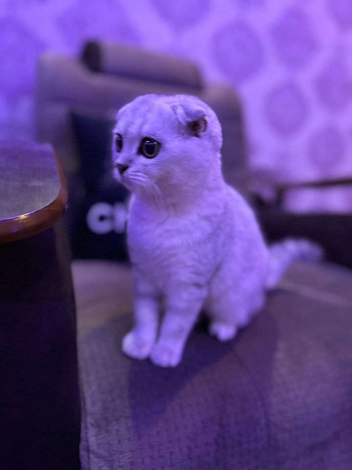 250 USD