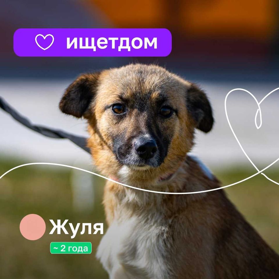 Бесплатно