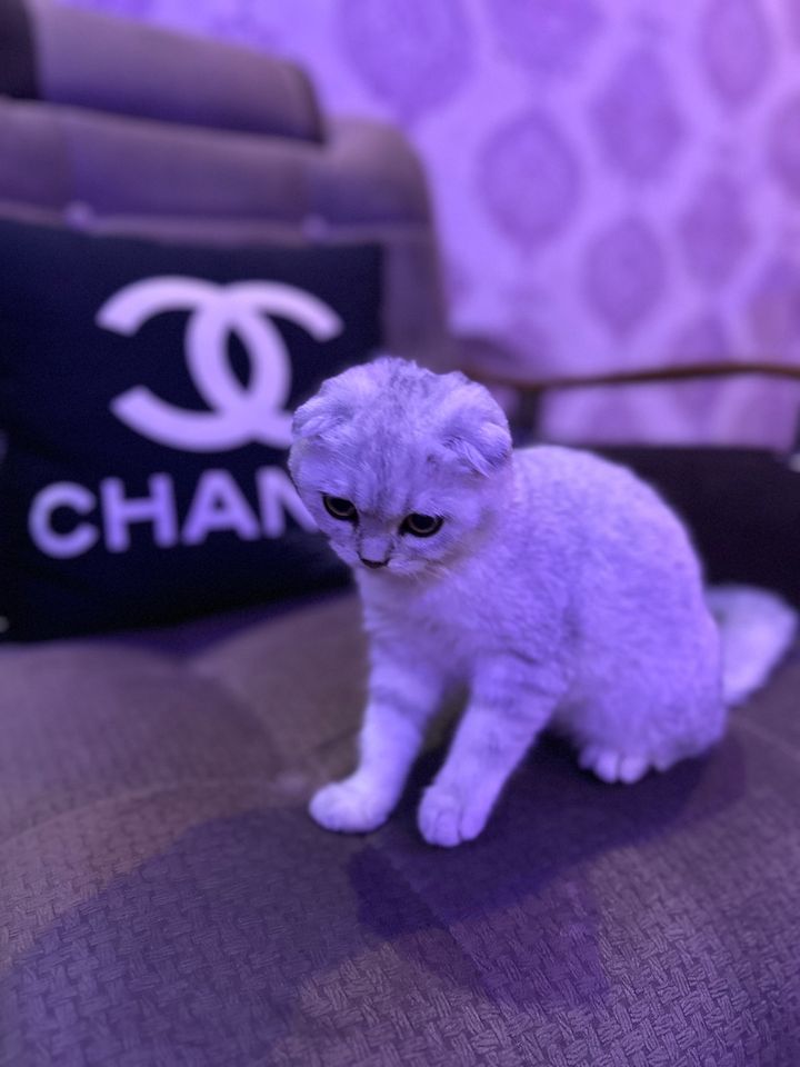250 USD
