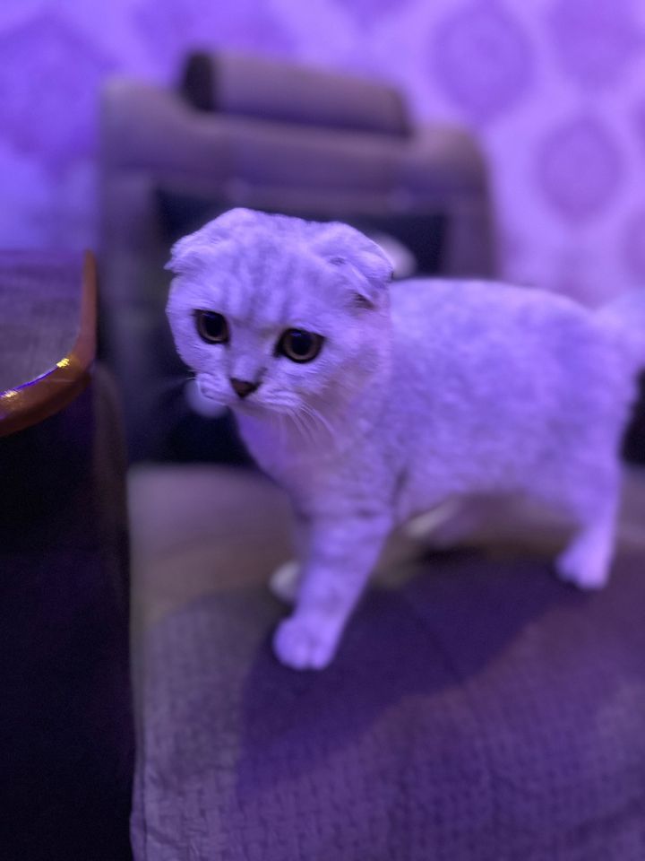 250 USD