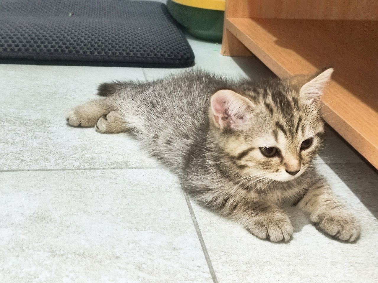 250 000 сум