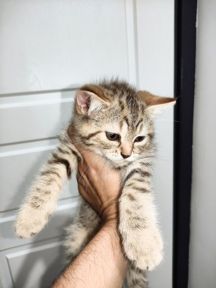 250 000 сум