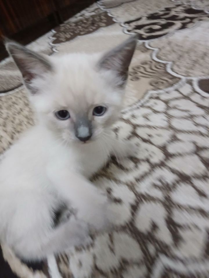 500 000 UZS