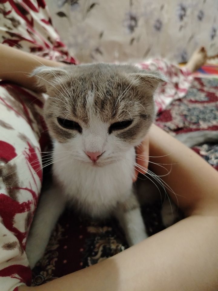 8 000 000 сум