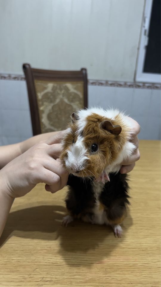 300 000 сум