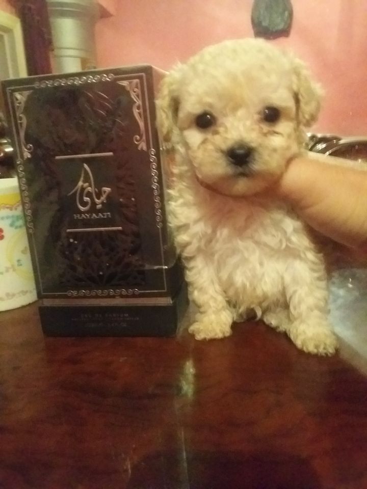 150 USD