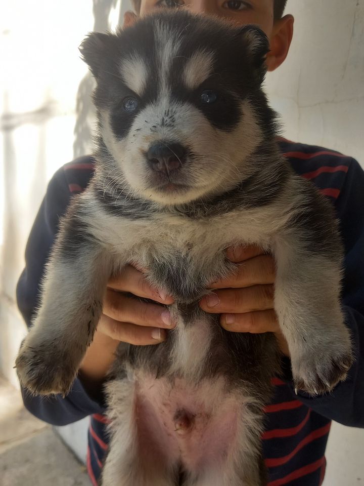 120 USD