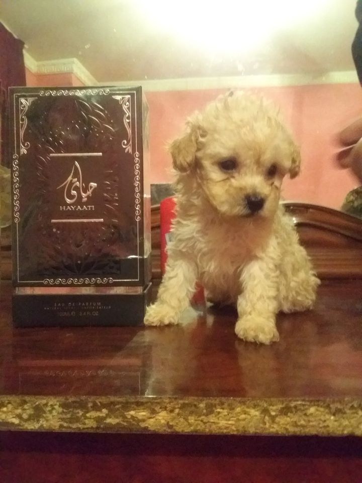 150 USD