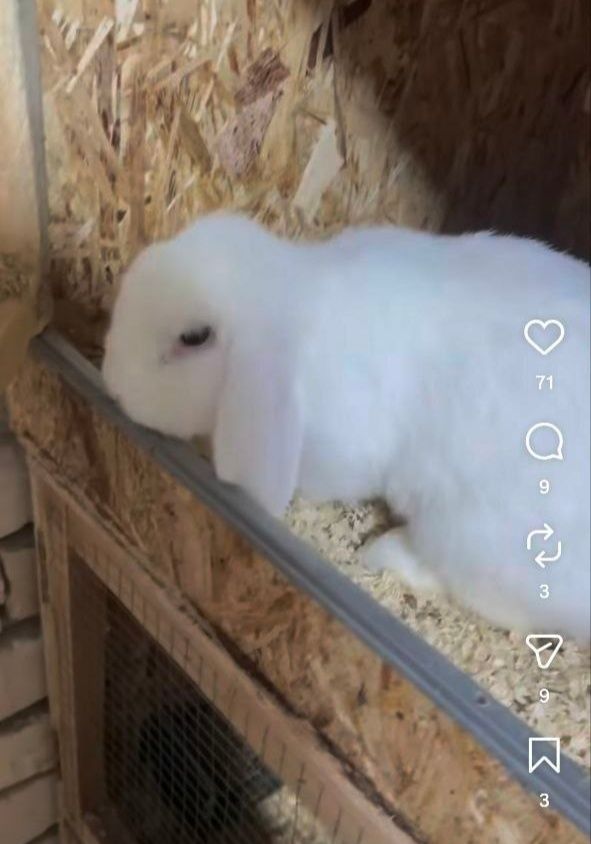 270 000 сум