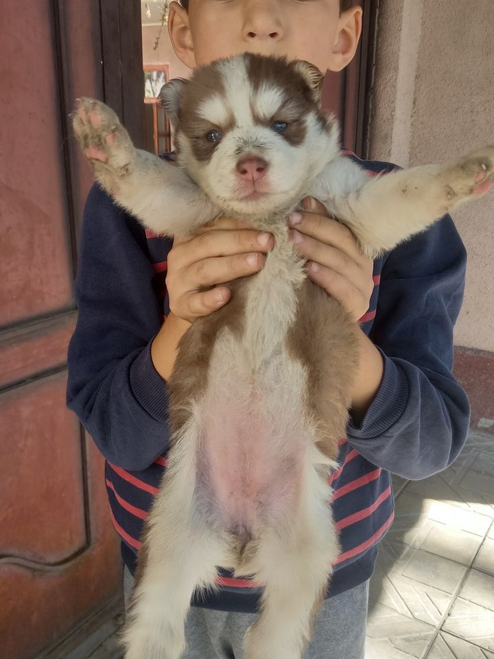 120 USD