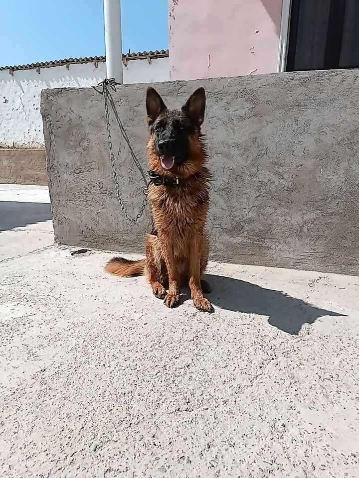 3 000 000 сум