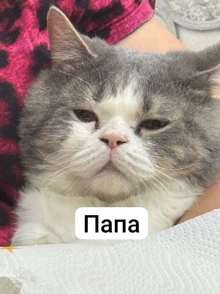 100 USD