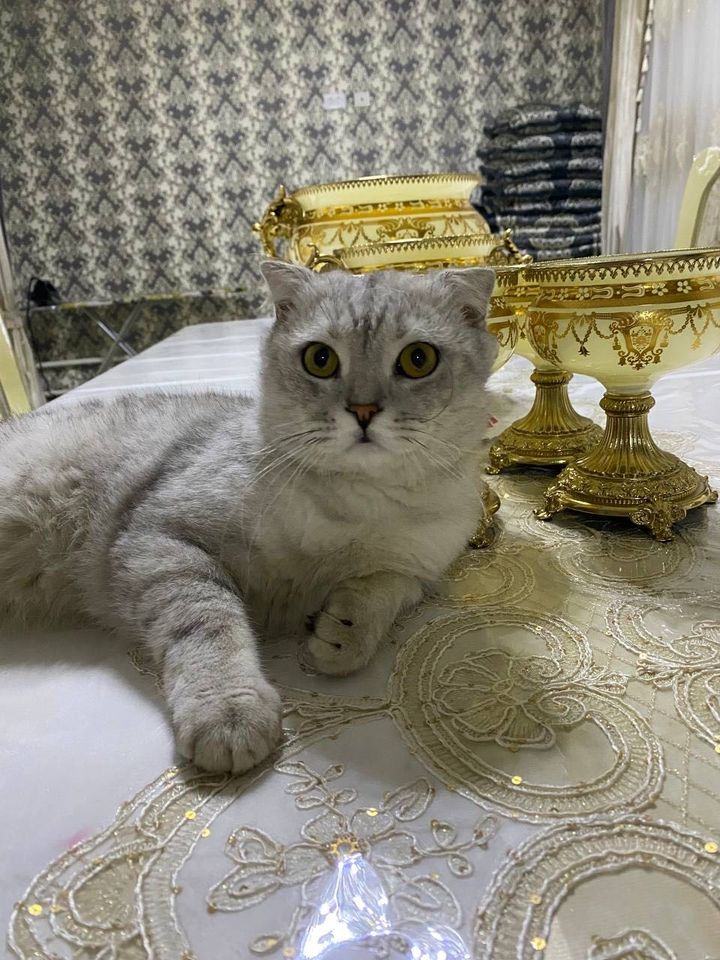 150 USD