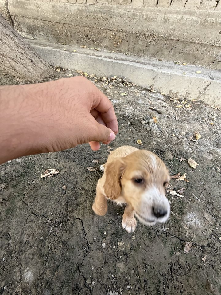 110 USD