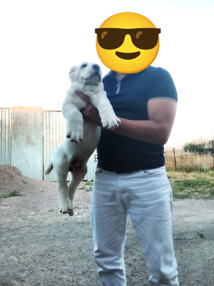600 USD