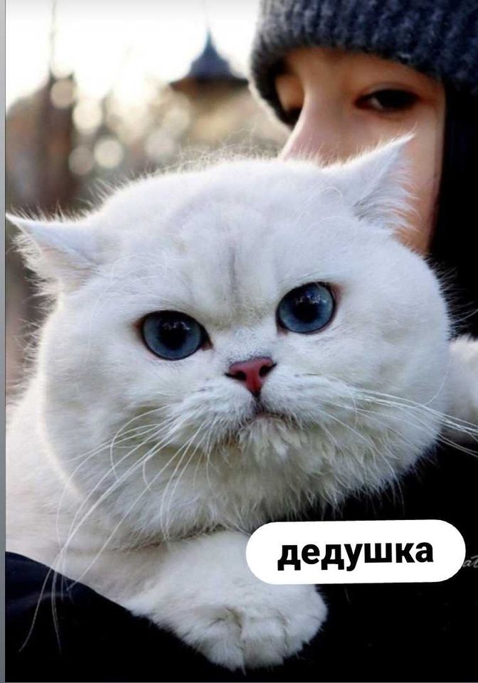 60 USD