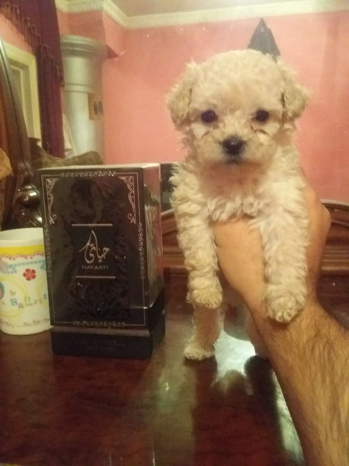 150 USD