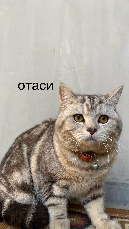 120 USD