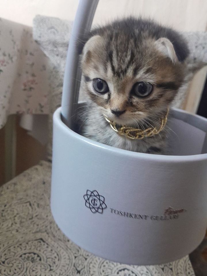 100 USD