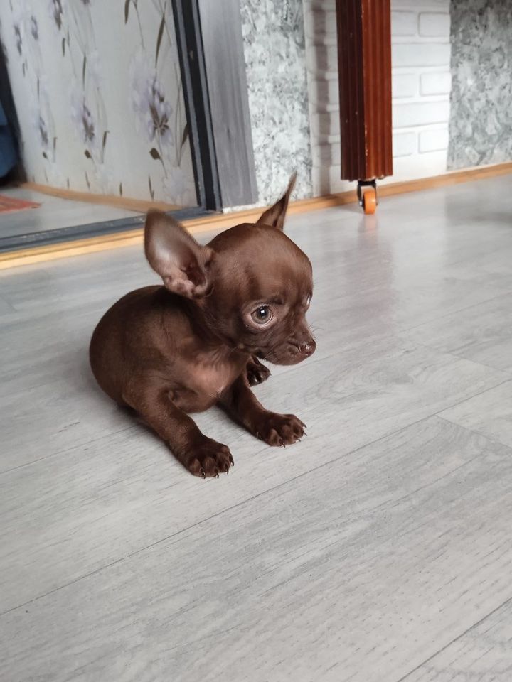 220 USD