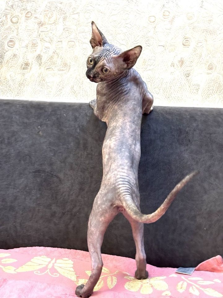 70 USD