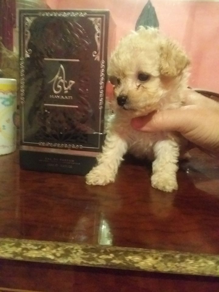150 USD