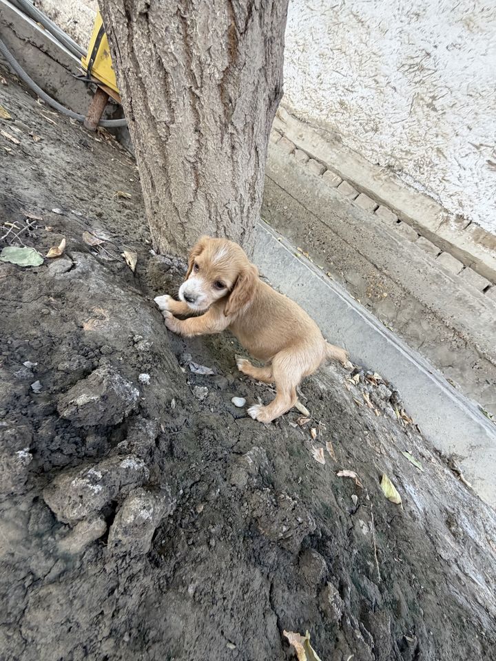 110 USD