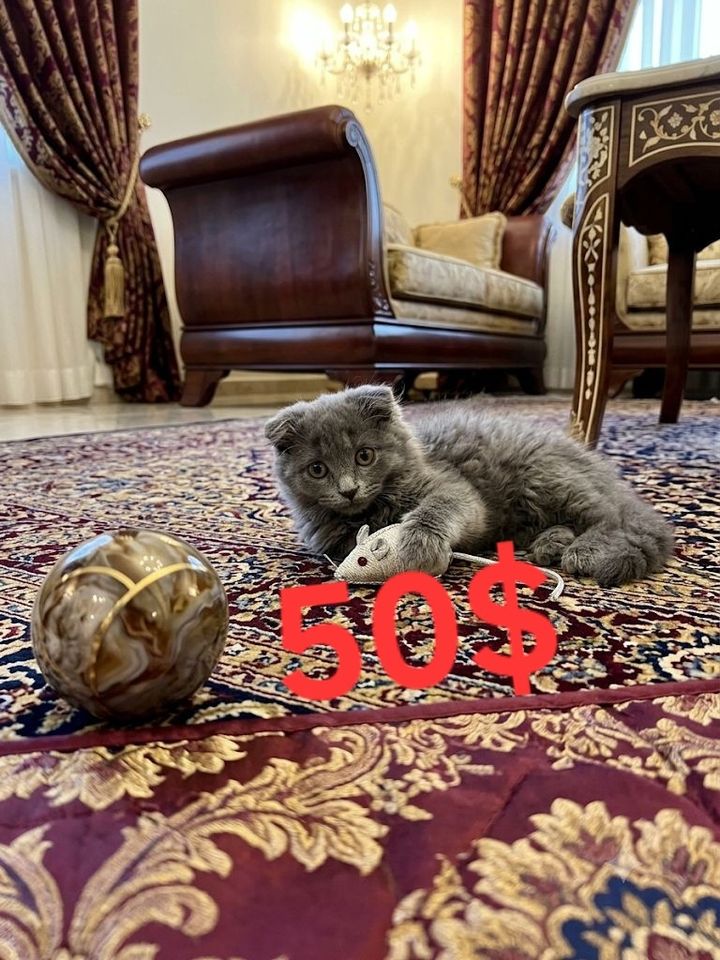 150 USD