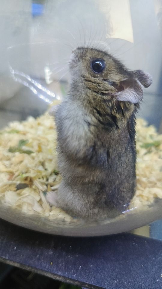 35 000 сум