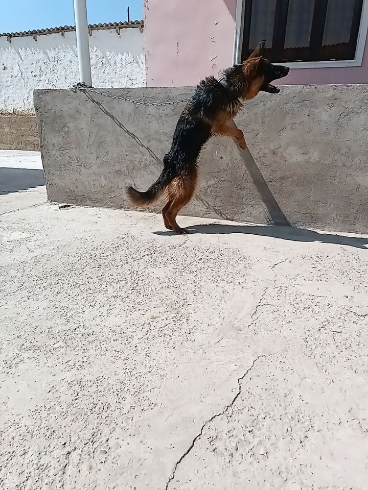 3 000 000 сум