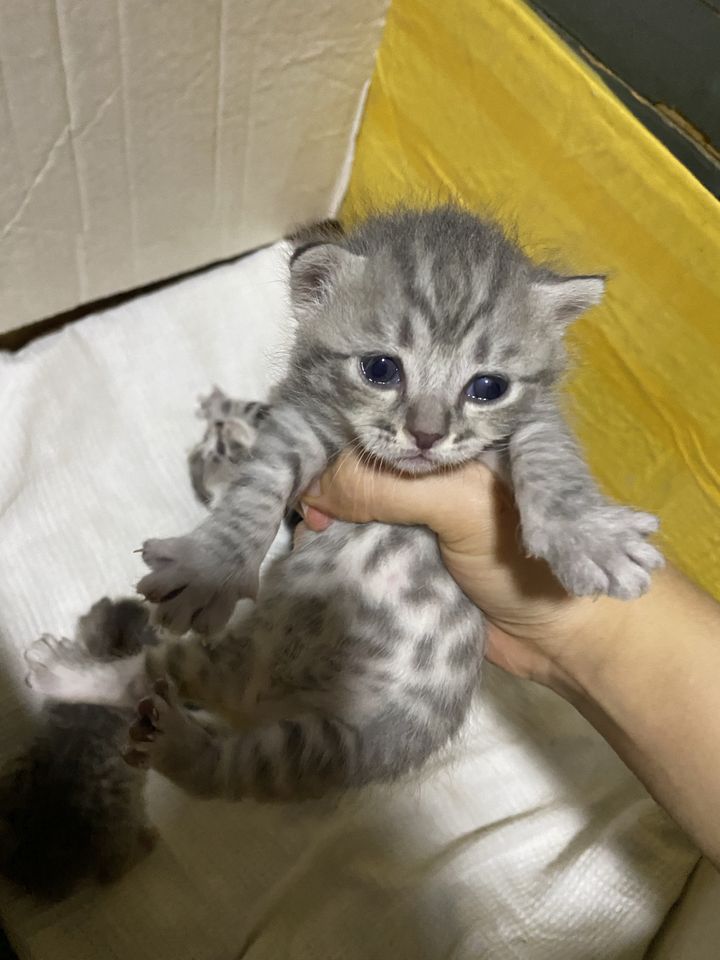 120 USD